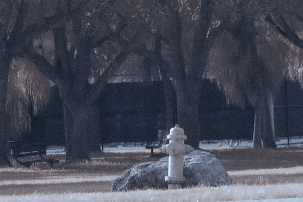 Bleach Bypass Color Grading A small white hydrant stands in front of a large rock in a park-like setting with bare trees, grass, and benches in the background.