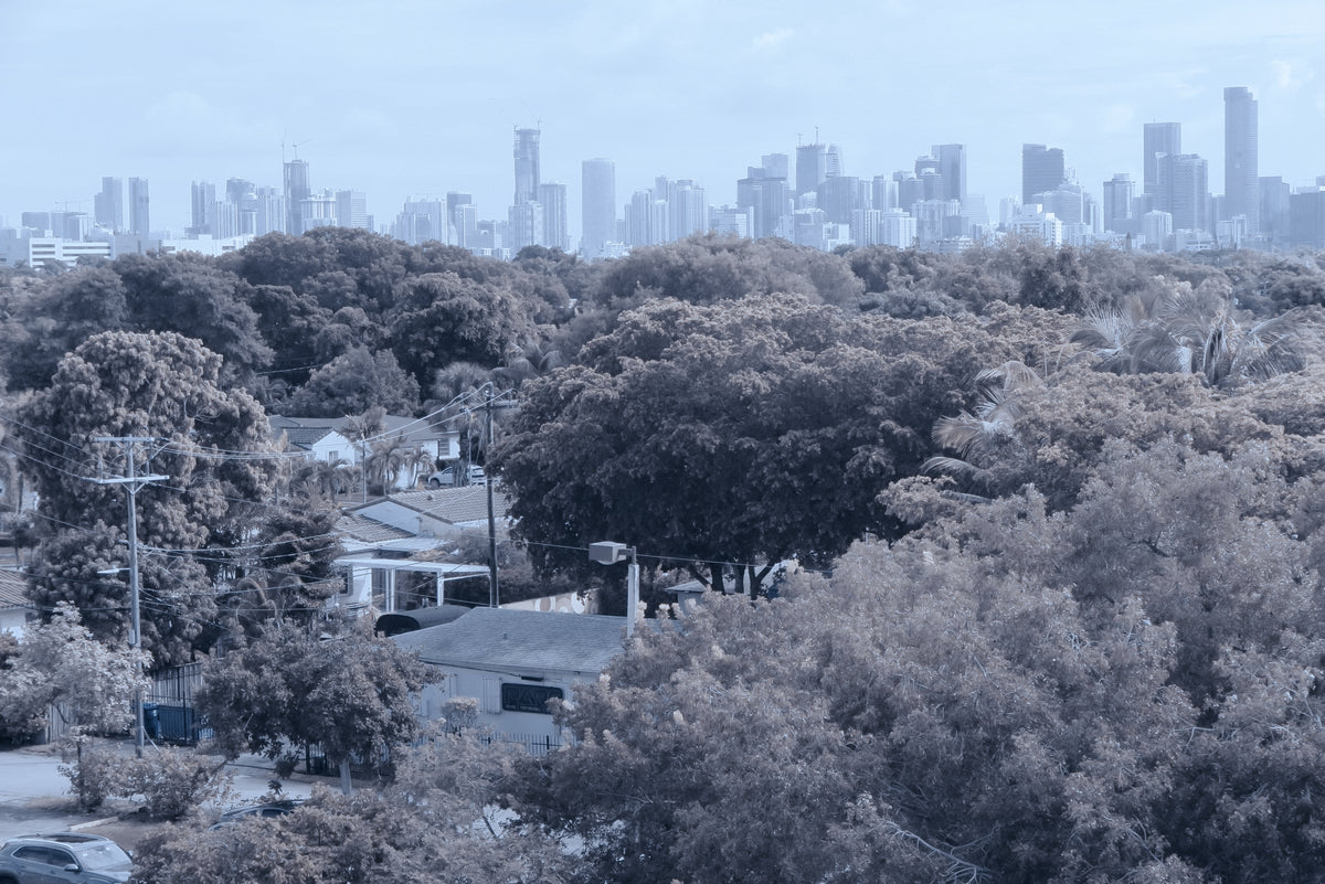 Bleach Bypass with Photoshop Real Time Lut applied with Cool Tones. A blue-toned aerial view of a suburban neighborhood with dense trees, houses, utility poles, and a city skyline in the distance under a pale sky.