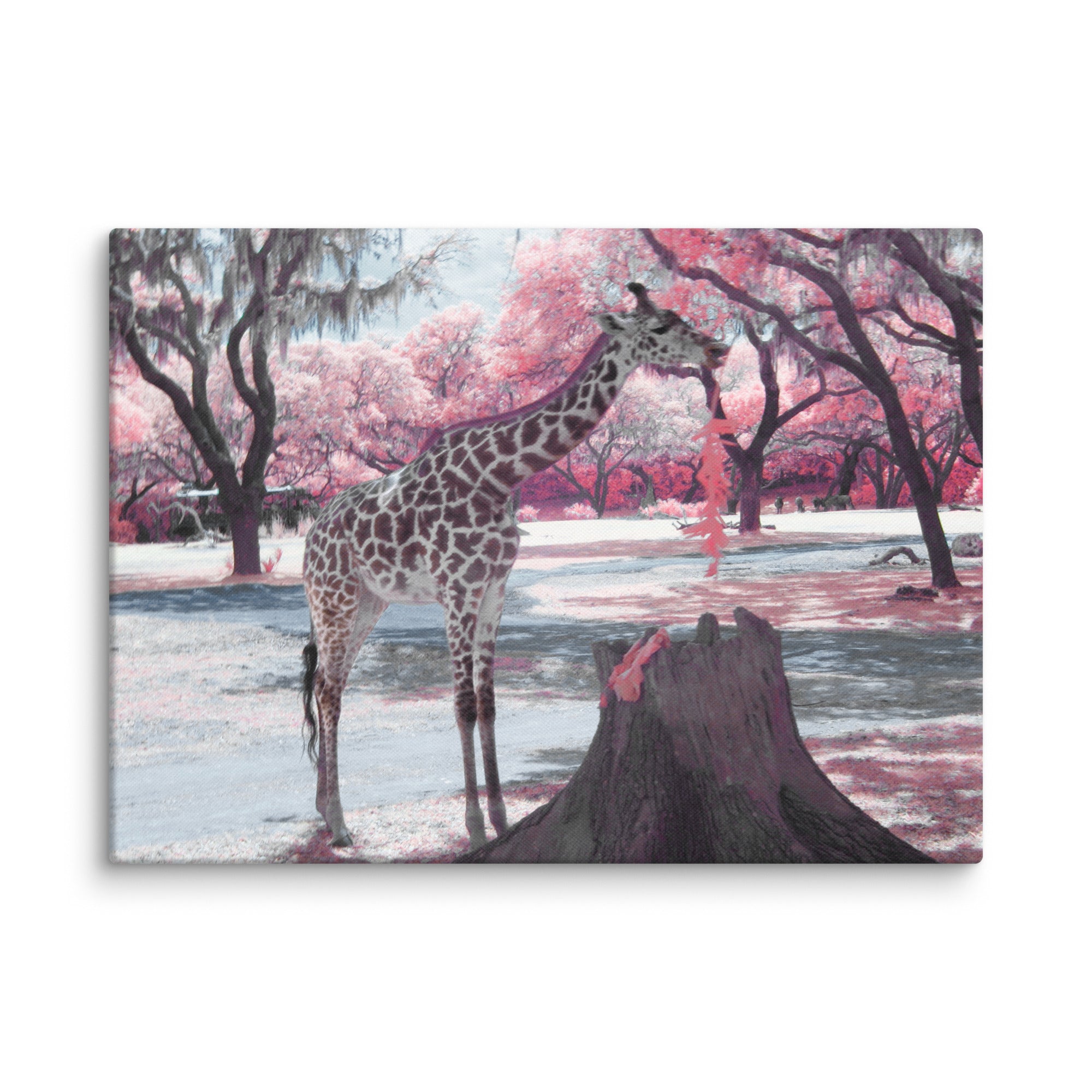 Digital Download - Pink Giraffe Printable For Baby Girl Room
