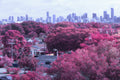 Infrared Lut Filter to pink after photo example - A scenic view of a city skyline in the distance, framed by dense trees in vivid autumn colors of red, orange, and pink in the foreground.
