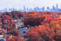 Real Time Infrared Lut after photo - A scenic view of a city skyline in the distance, framed by dense trees in vivid autumn colors of red, orange, and pink in the foreground.